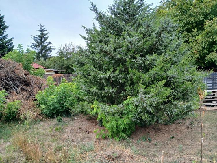 Teren de 500 mp, în Snagov