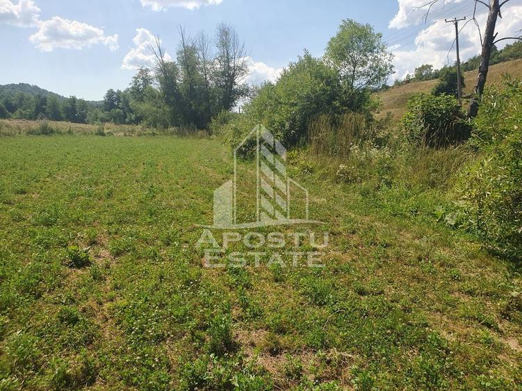 Teren agricol intravilan de 2848 mp, în Negoiu
