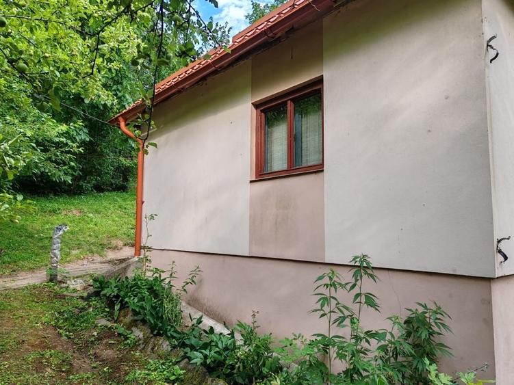 Casă cu 2 camere în Almașu Mare