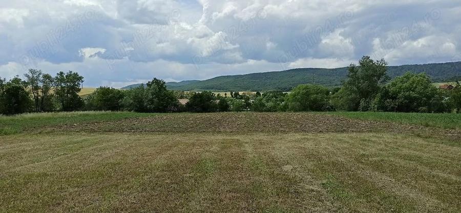Casă cu 1 camere cu Teren 6517 Mp în Negrești