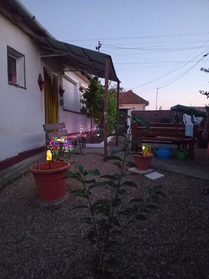 Casă individuală cu 2 camere cu Teren 3525 Mp în Șauaieu