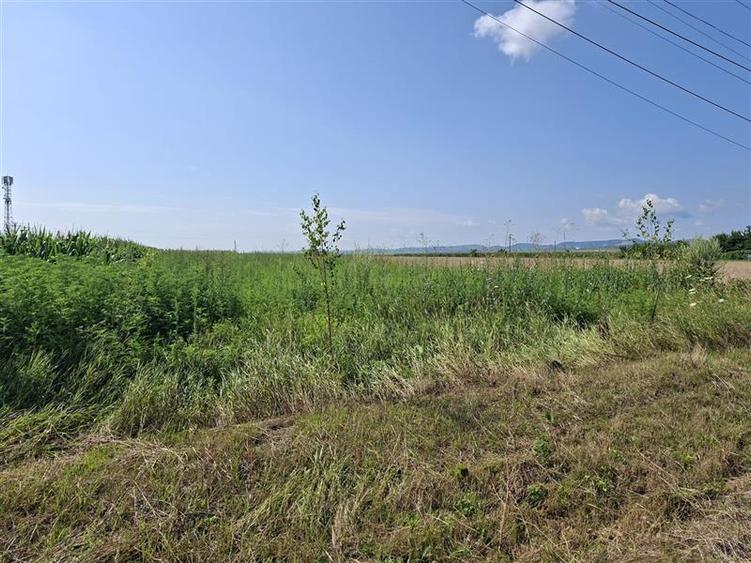 Teren intravilan de 1600 mp, în 9 Mai