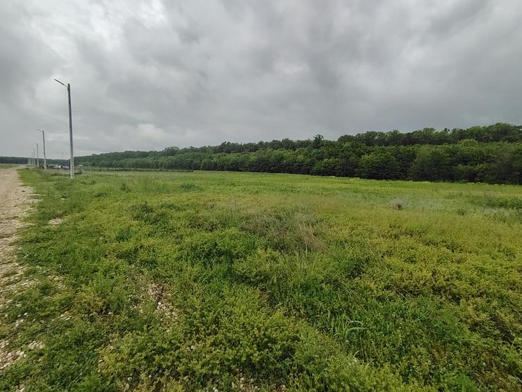 Teren Construcții intravilan de 860 mp, în Crevedia