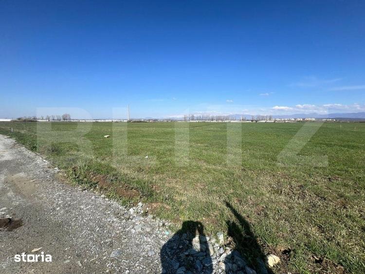 Teren de 8000 mp, în Centura