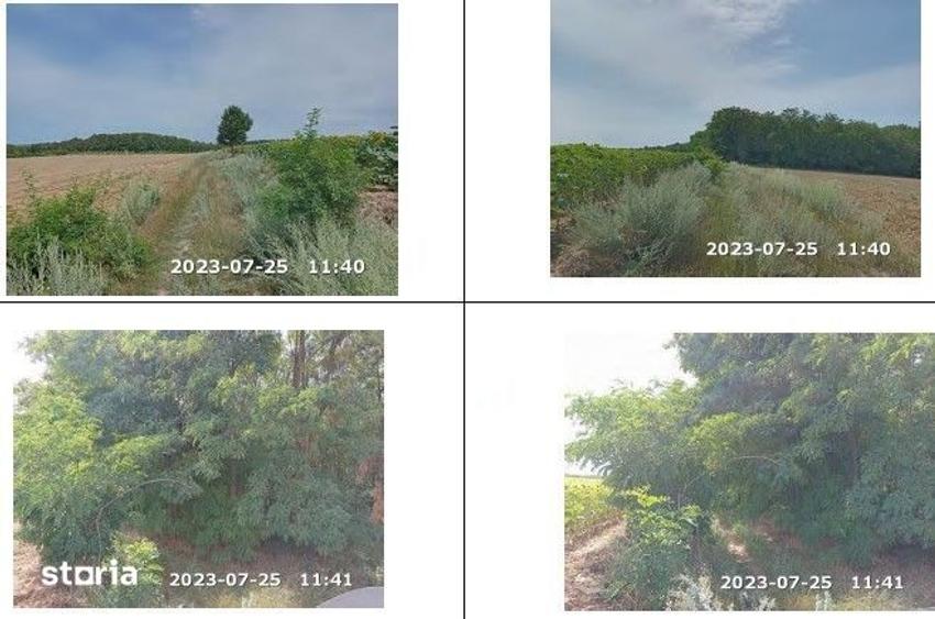 Teren de 35000 mp, în Horgești