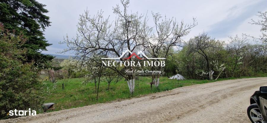 Teren de 3400 mp, în Podgoria