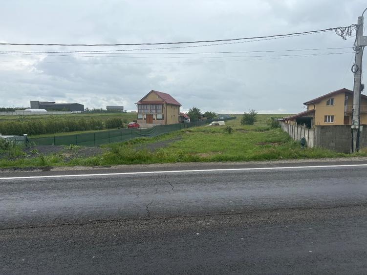 Teren intravilan DN 6 Craiova-Cosoveni - 2