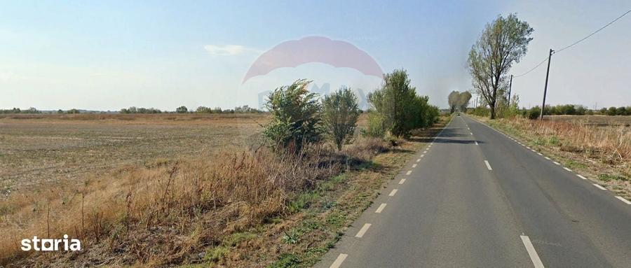 Teren de 79000 mp, în Dascălu