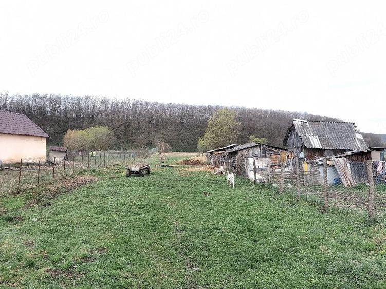 Teren de 4756 mp, în Coasta