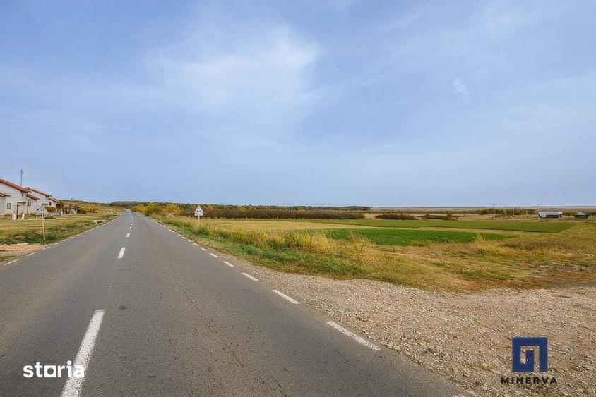 Teren de 19000 mp, în Pișchia