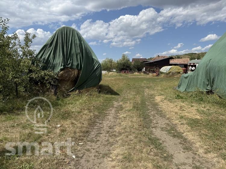 Teren Construcții intravilan de 1483 mp, în Pata