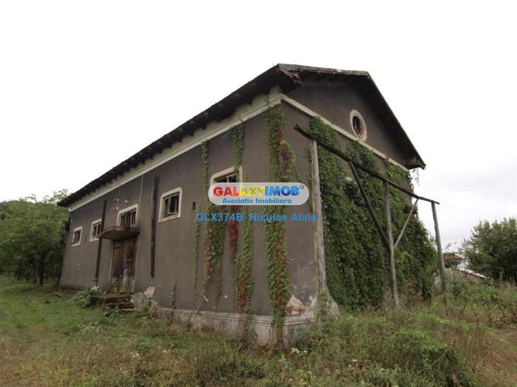 Teren Construcții intravilan de 12765 mp, în Bogați