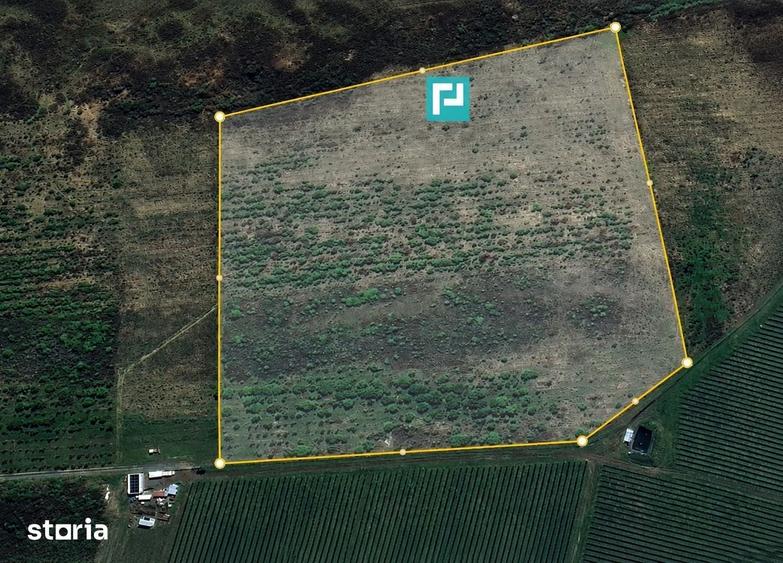Teren de 43400 mp, în Vărădia de Mureș