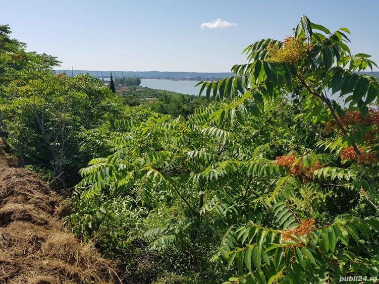 Teren de 1800 mp, în Schela