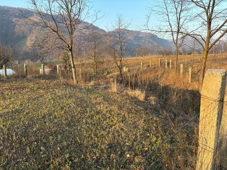 Teren agricol intravilan de 3111 mp, în Feldru