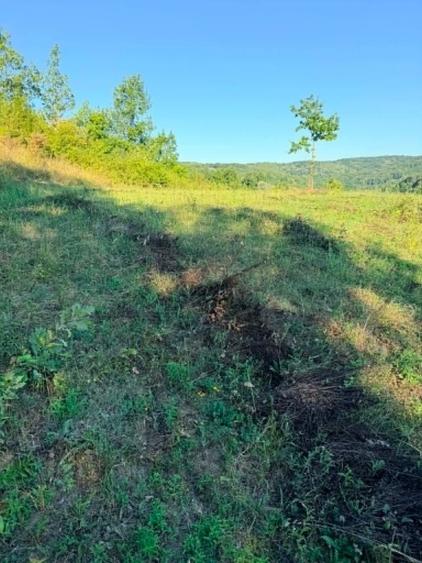 Teren de 1500 mp, în Podiș