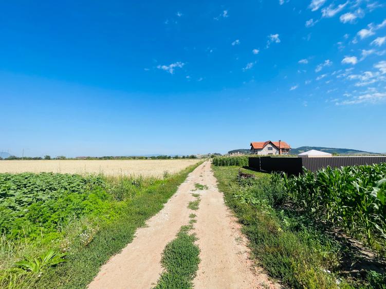 Teren agricol intravilan de 16080 mp, în Sânpetru