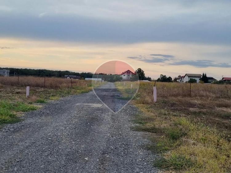 Teren Construcții intravilan de 609 mp, în Brănești