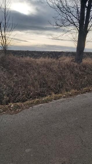 Teren agricol extravilan de 2000 mp, în Tureni