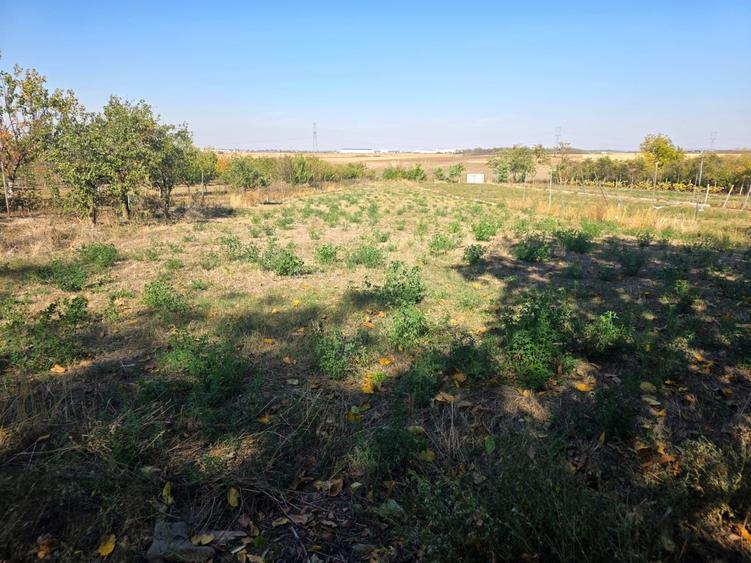 Casă cu 3 camere în Chișirid