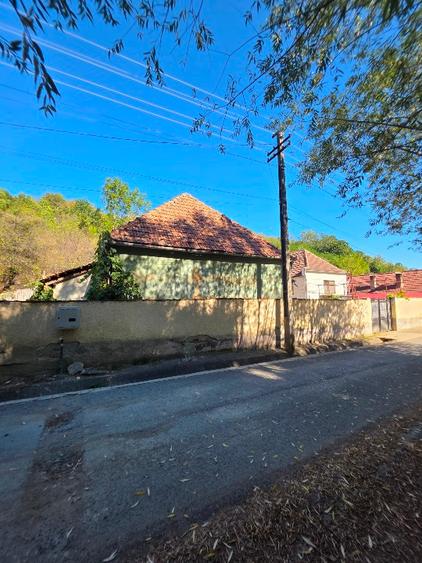 Casă individuală cu 5 camere cu Teren 4000 Mp în Pianu de Sus