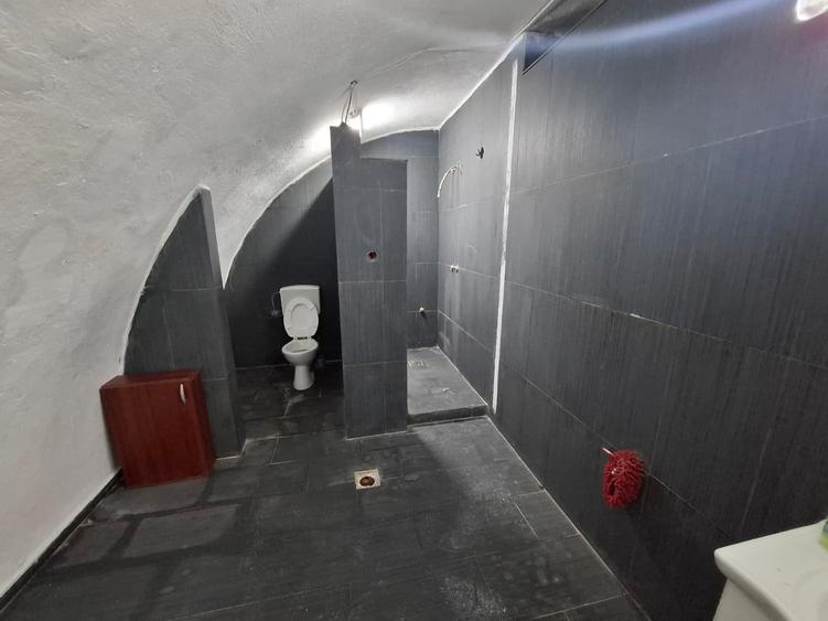 Spațiu industrial, de 600 mp, în Aradul Nou