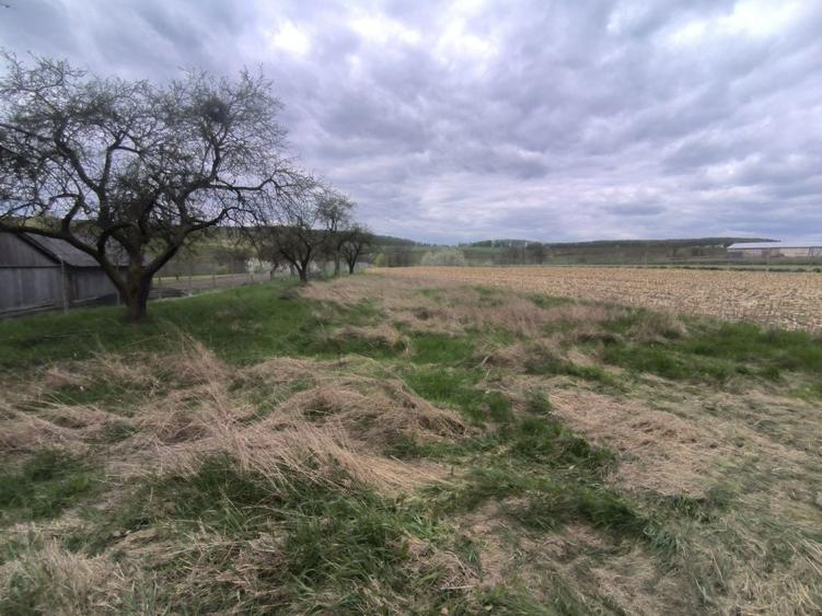 Teren de 48000 mp, în Ilișești