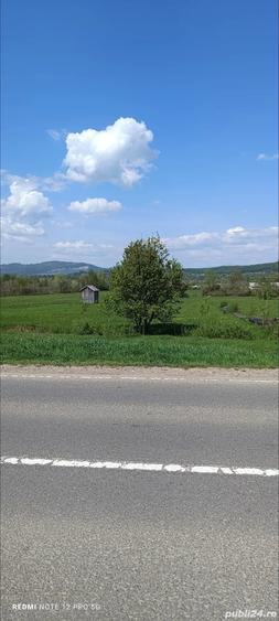 Teren în Săpânța