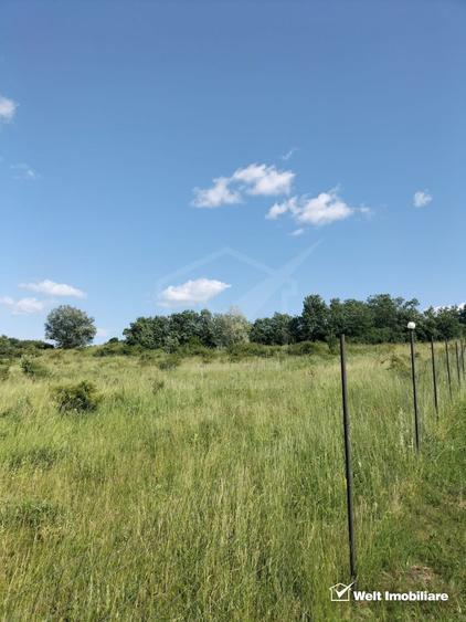 Teren agricol intravilan de 2673 mp, în Feiurdeni