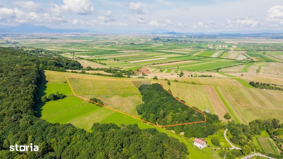 Casă cu 7 camere cu Teren 16873 Mp în Dobârlău