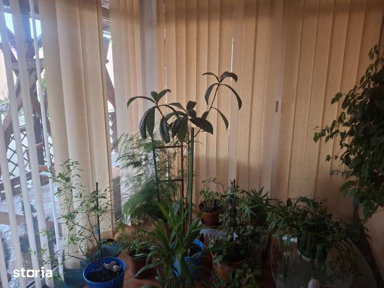 Casă cu 6 camere cu Teren 500 Mp în Sângeorgiu de Mureș
