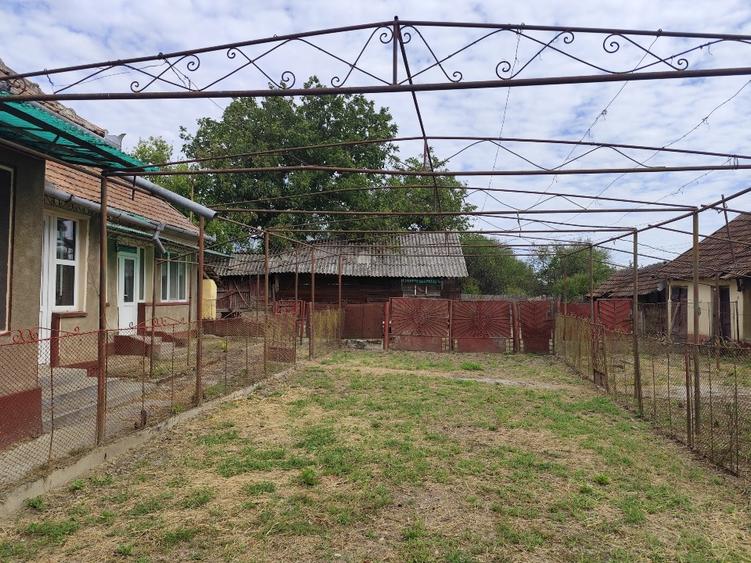 Casă individuală cu 3 camere cu Teren 5000 Mp în Abrămuț