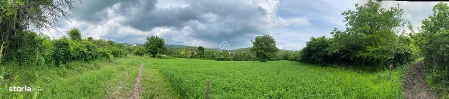 Teren de 15900 mp, în Năeni