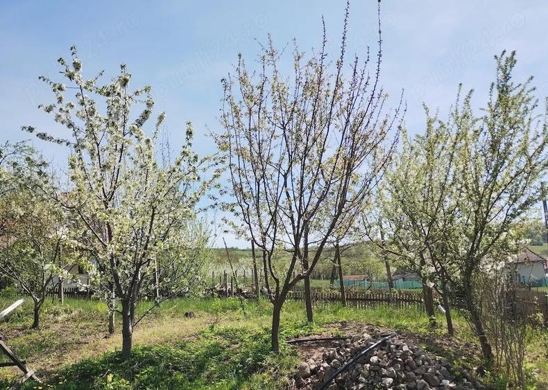 Teren de 1400 mp, în Gârbova