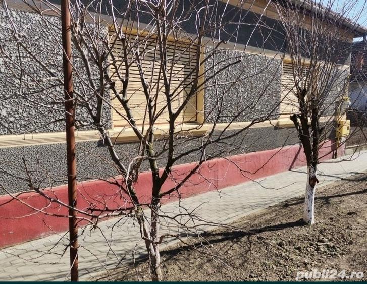 Casă cu 4 camere cu Teren 681 Mp în Chișineu-Criș
