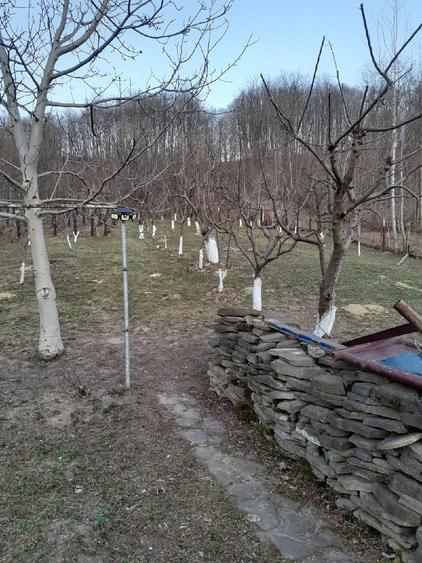 Casă cu Teren 5000 Mp în Bughea de Jos