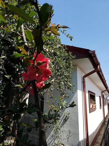 Casă cu 2 camere în Tei