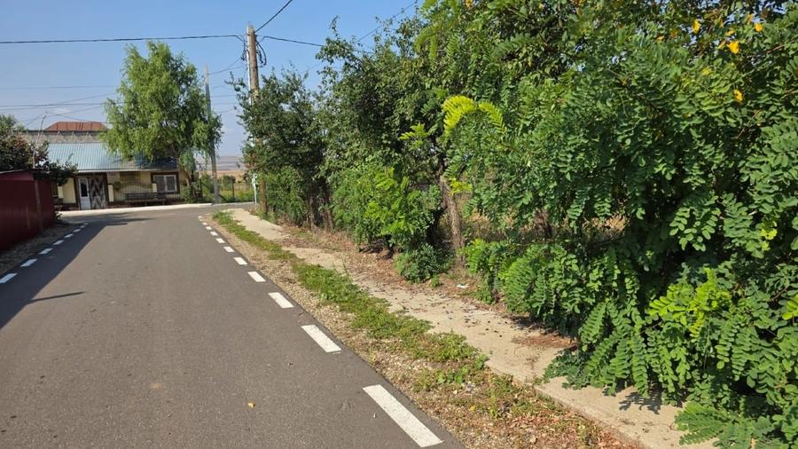 Casă individuală cu 2 camere cu Teren 1200 Mp în Perieni