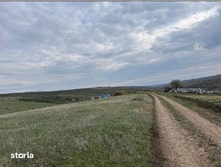 Teren de 4500 mp, în Perieni