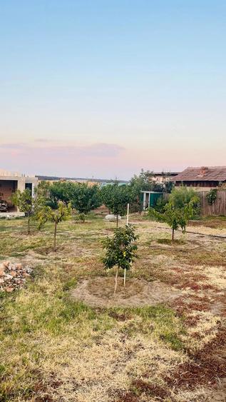 Casă cu 4 camere cu Teren 50000 Mp în Rogova