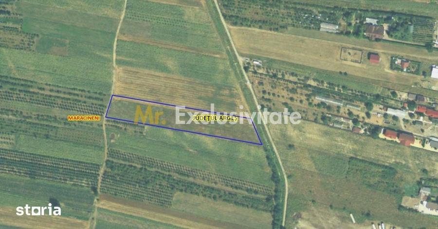 Teren intravilan 7.545 mp in ideal reziden?ial sau hale - 4