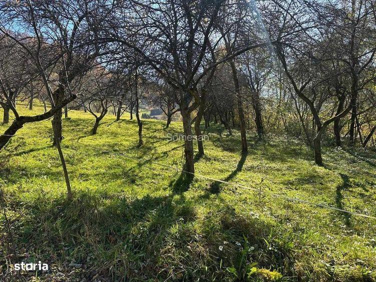 Vand teren extravilan in comuna cosbuc
