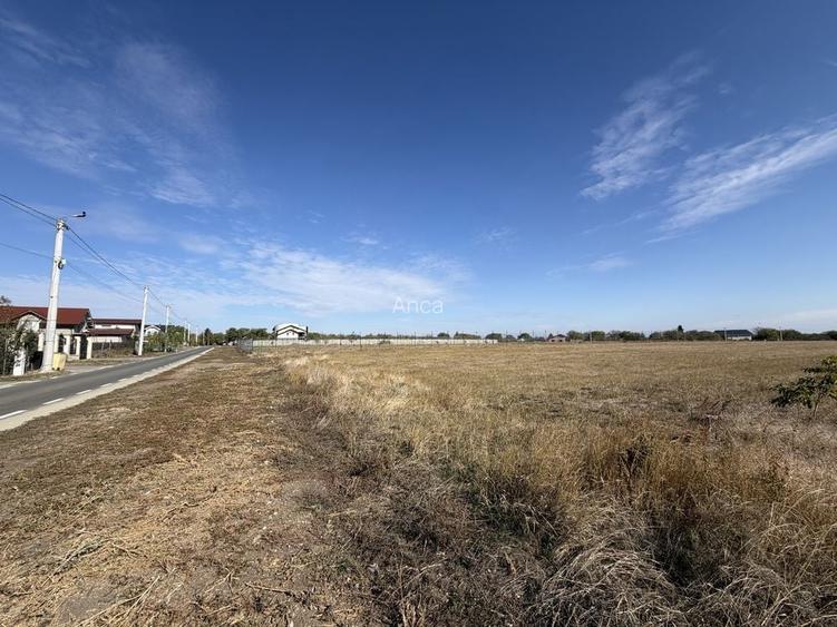 Vand teren 10.000 mp Giarmata Mare