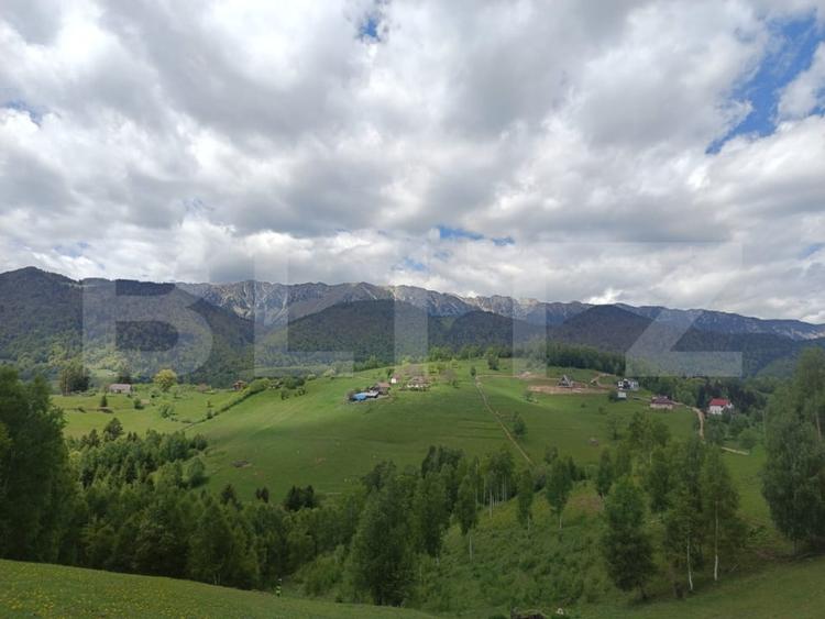Teren Construcții intravilan de 4649 mp, în Peștera