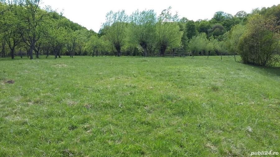 Teren de 5193 mp, în Corbi