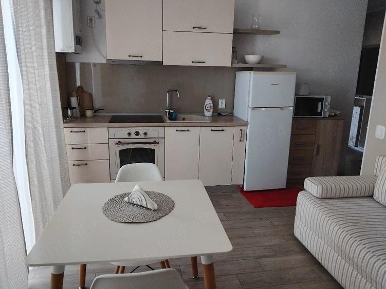 Dau in chirie ap 2 camere - 3