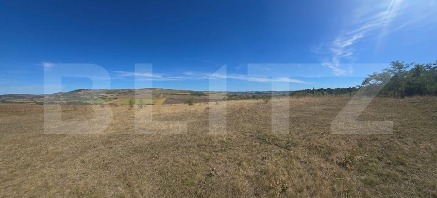 Teren Construcții intravilan de 3400 mp, în Bărdești