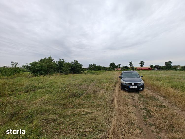 Teren de 580 mp, în Horlești