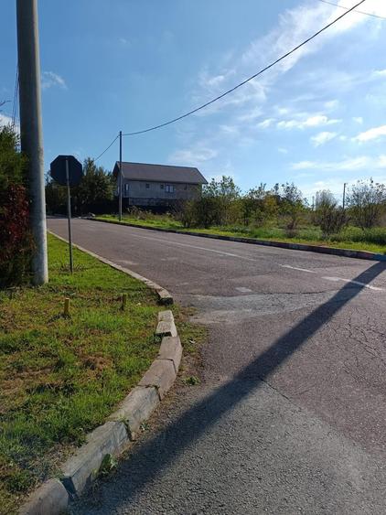 Spațiu comercial, în Schitu