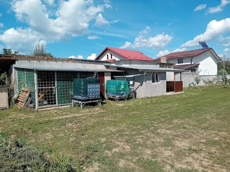 Teren de 1650 mp, în Dragomirești